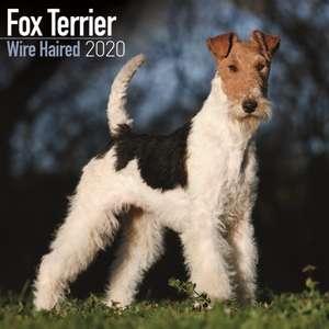 Fox Terrier Calendar 2020 de Avonside Publishing Ltd