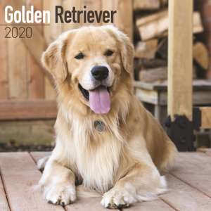 Golden Retriever Calendar 2020 de Avonside Publishing Ltd