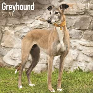 Greyhound Calendar 2020 de Avonside Publishing Ltd