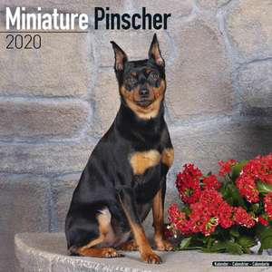 Miniature Pinscher Calendar 2020 de Avonside Publishing Ltd