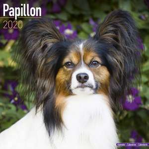 Papillon Calendar 2020 de Avonside Publishing Ltd