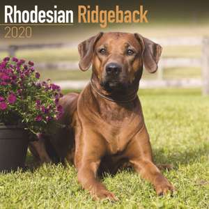 Rhodesian Ridgeback Calendar 2020 de Avonside Publishing Ltd