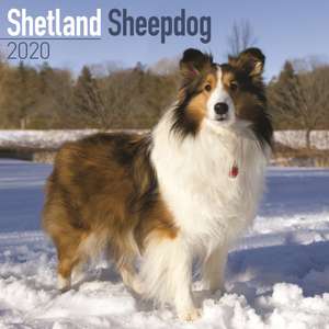 Shetland Sheepdog Calendar 2020 de Avonside Publishing Ltd