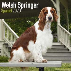 Welsh Springer Spaniel Calendar 2020 de Avonside Publishing Ltd