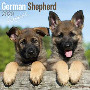 German Shepherd Puppies Calendar 2020 de Avonside Publishing Ltd