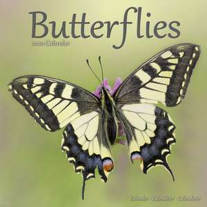 Butterflies Calendar 2020 de Avonside Publishing Ltd