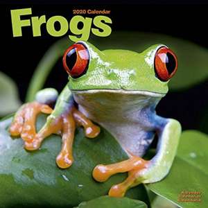 Frogs Calendar 2020 de Avonside Publishing Ltd