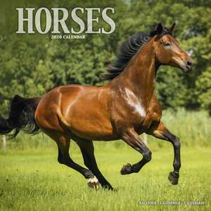 Horses Calendar 2020 de Avonside Publishing Ltd