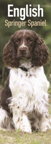 English Springer Spaniel Slim Calendar 2020 de Avonside Publishing Ltd