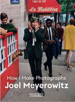 Joel Meyerowitz de Joel Meyerowitz