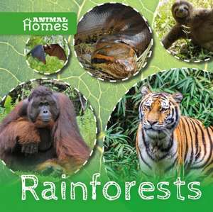 Rainforests de John Wood