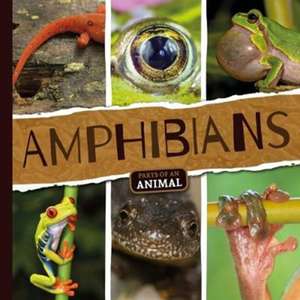 Amphibians de Emilie Dufresne