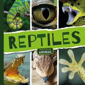 Reptiles de Emilie Dufresne