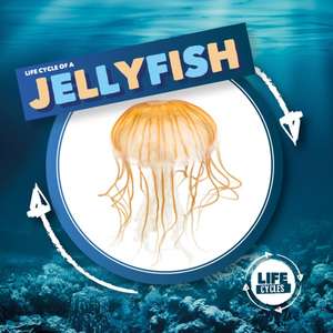 Holmes, K: Jellyfish de Kirsty Holmes