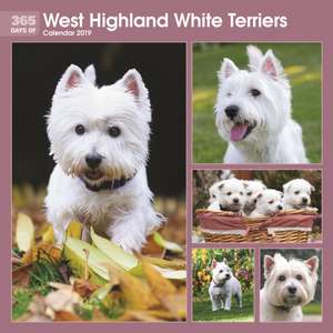 WEST HIGHLAND WHITE TERRIERS 365 DAYS W