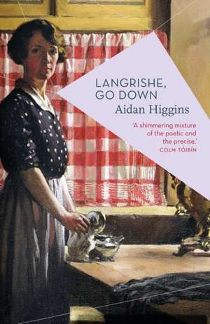 Langrishe, Go Down de Aidan Higgins