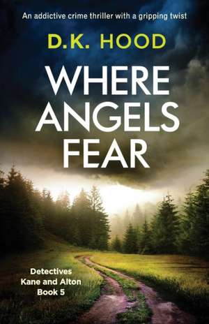 Where Angels Fear de D. K. Hood