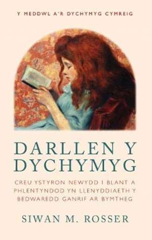 Darllen y Dychymyg de Siwan M. Rosser