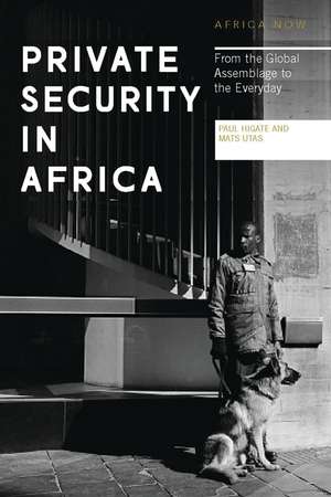 Private Security in Africa: From the Global Assemblage to the Everyday de Paul Higate