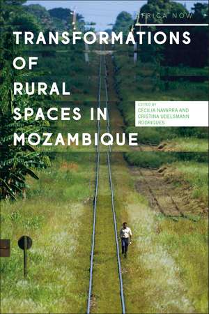 Transformations of Rural Spaces in Mozambique de Cecilia Navarra