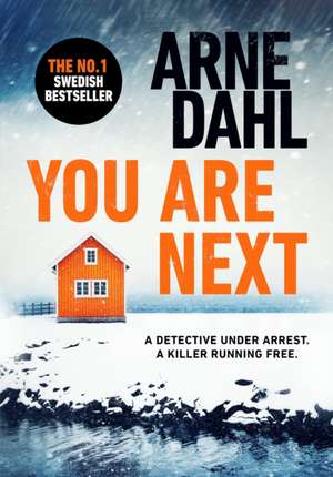 You Are Next de Arne Dahl