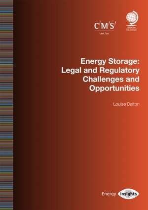 Energy Storage: Legal and Regulatory Challenges and Opportunities de Louise Dalton