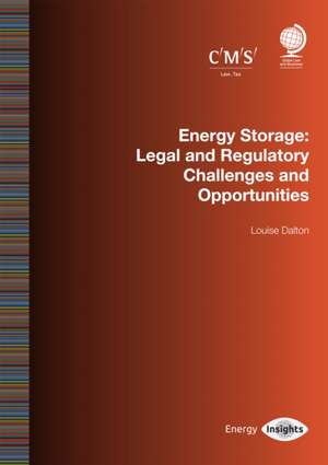 Energy Storage de Louise Dalton