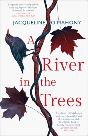 A River in the Trees de Jacqueline O'Mahony