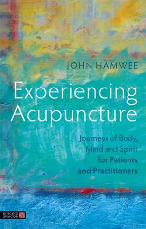 Experiencing Acupuncture: Journeys of Body, Mind and Spirit for Patients and Practitioners de John Hamwee