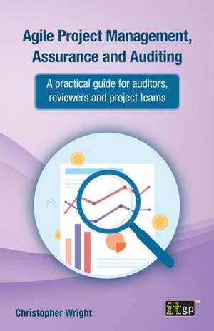 Agile Project Management, Assurance and Auditing de Christopher Wright