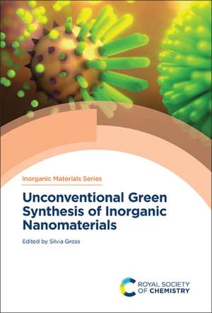 Unconventional Green Synthesis of Inorganic Nanomaterials de Silvia Gross