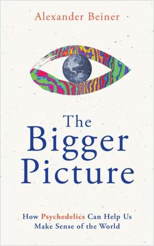 The Bigger Picture de Alexander Beiner