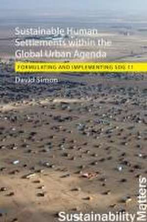 Sustainable Human Settlements within the Global Urban Agenda de Professor David (Royal Holloway University of London) Simon