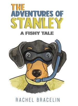 The Adventures of Stanley de Rachel Bracelin