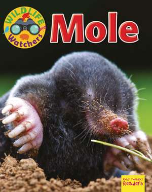 Mole de Ruth Owen