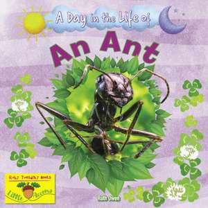 An Ant de Ruth Owen
