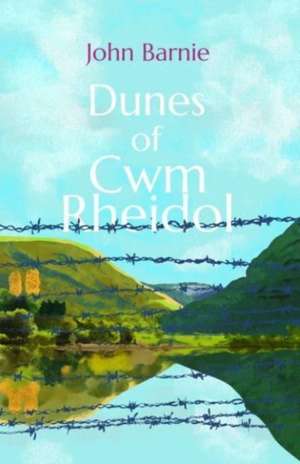 Dunes of Cwm Rheidol de John Barnie