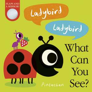 Hepworth, A: Ladybird! Ladybird! What Can You See? de Amelia Hepworth