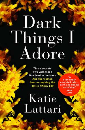 Dark Things I Adore de Katie Lattari