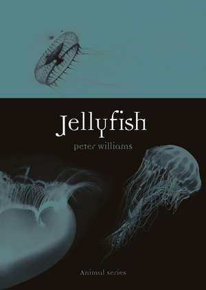 Jellyfish de Peter Williams