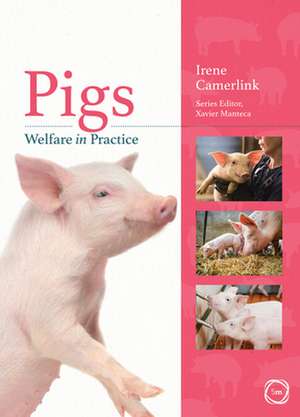 Pigs Welfare in Practice de Irene Camerlink