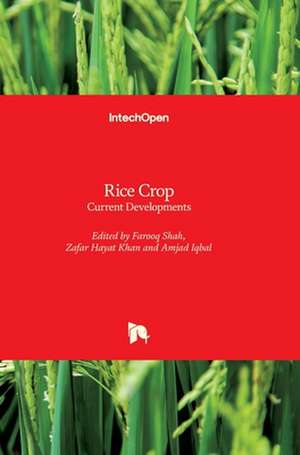 Rice Crop de Farooq Shah