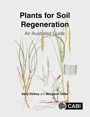 Plants for Soil Regeneration – An Illustrated Guide de Sally Pinhey