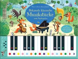 Mein Usborne-Klavierbuch: Bekannte klassische Musikstücke zum Nachspielen de Sam Taplin