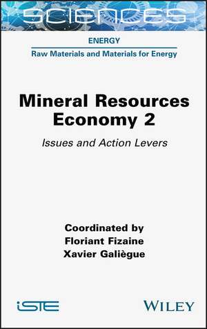 Mineral Resource Economy 2 – Issues and Action Levers de F Fizaine