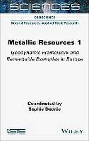 Metallic Resources 1 de Sophie Decrée