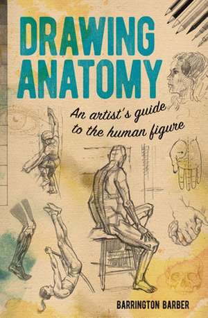 Drawing Anatomy: An Artist's Guide to the Human Figure de Barrington Barber