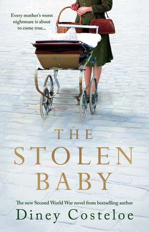 The Stolen Baby de Diney Costeloe