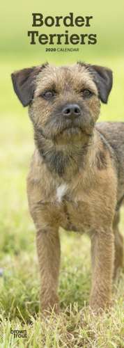 Border Terriers 2020