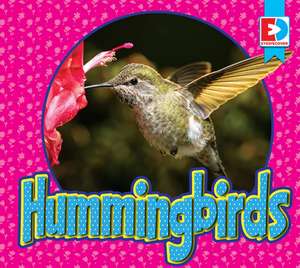 Hummingbirds de Maria Koran